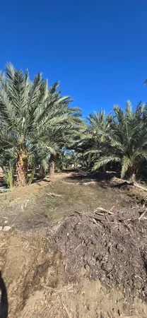$1,500,000 | 76850 Pierce Street, Thermal, CA 92274