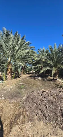 $1,500,000 | 76850 Pierce Street, Thermal, CA 92274