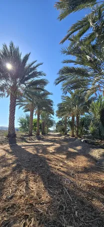 $1,500,000 | 76850 Pierce Street, Thermal, CA 92274