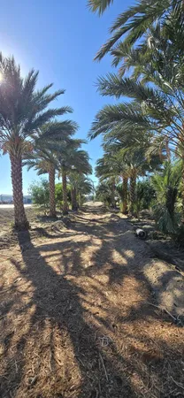 $1,500,000 | 76850 Pierce Street, Thermal, CA 92274