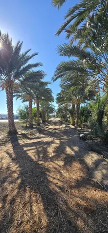 $1,500,000 | 76850 Pierce Street, Thermal, CA 92274