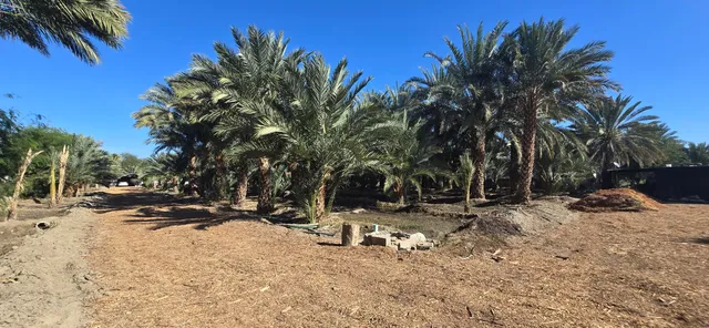 $1,500,000 | 76850 Pierce Street, Thermal, CA 92274