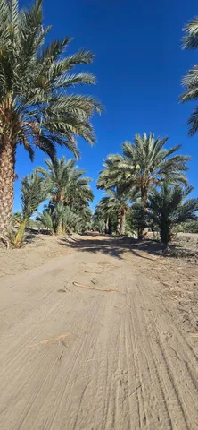 $1,500,000 | 76850 Pierce Street, Thermal, CA 92274