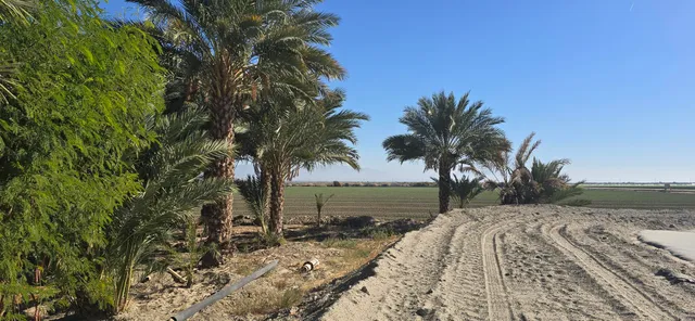 $1,500,000 | 76850 Pierce Street, Thermal, CA 92274