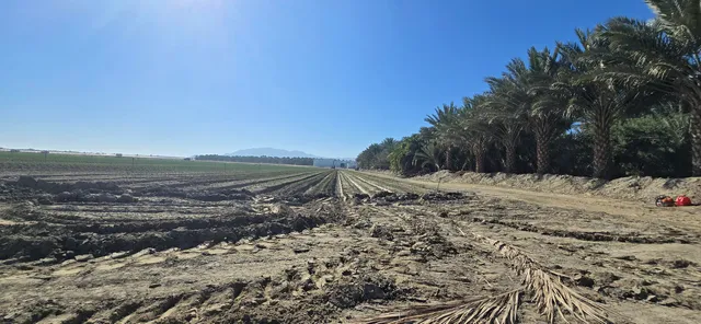 $1,500,000 | 76850 Pierce Street, Thermal, CA 92274