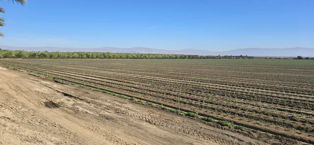 $1,500,000 | 76850 Pierce Street, Thermal, CA 92274