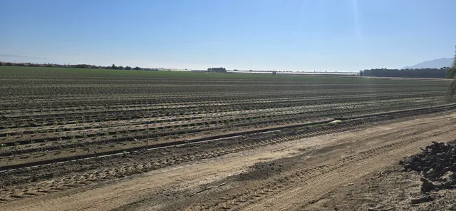 $1,500,000 | 76850 Pierce Street, Thermal, CA 92274