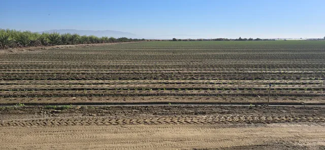 $1,500,000 | 76850 Pierce Street, Thermal, CA 92274