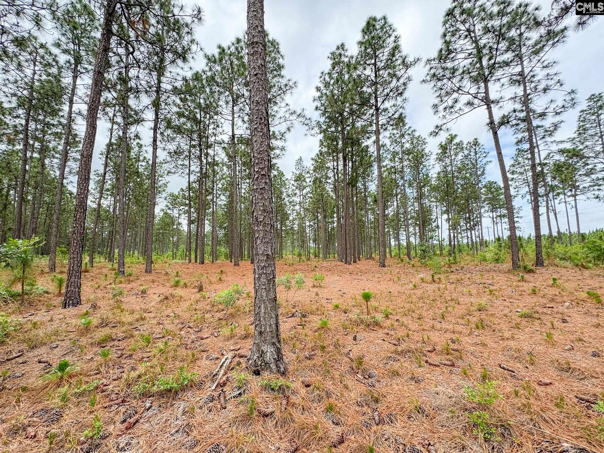 0 Neely Wingard Road, Unit LOT 3 Leesville, SC 29070 - Photo 4 of 7