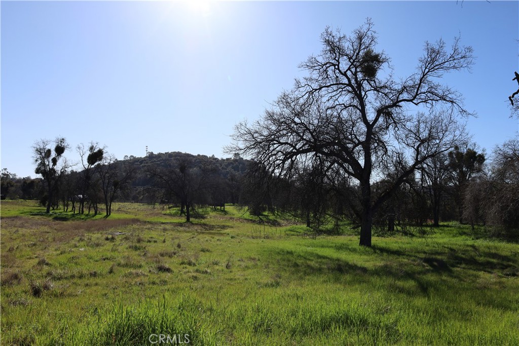 0 Douglas Road Coarsegold, CA 93614 - Photo 15 of 32