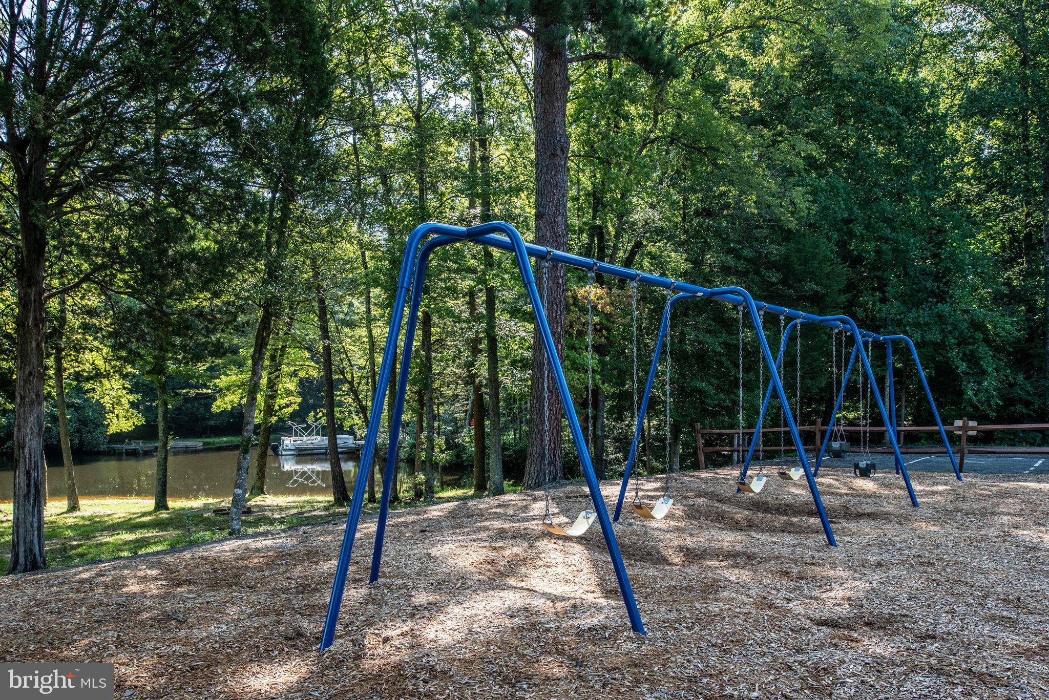 63 Bishop Cove Ruther Glen, VA 22546 - Photo 31 of 45 play ground