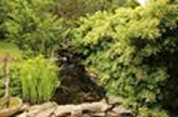 1 Abbey Road Raymond, NH 03077 - Photo 4 of 30 Gallery Image 4