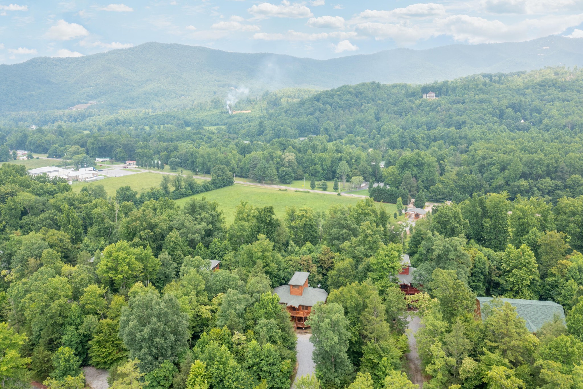 216 Amet Way Cosby, TN 37722 - Photo 20 of 21 a view of a bunch of trees and bushes
