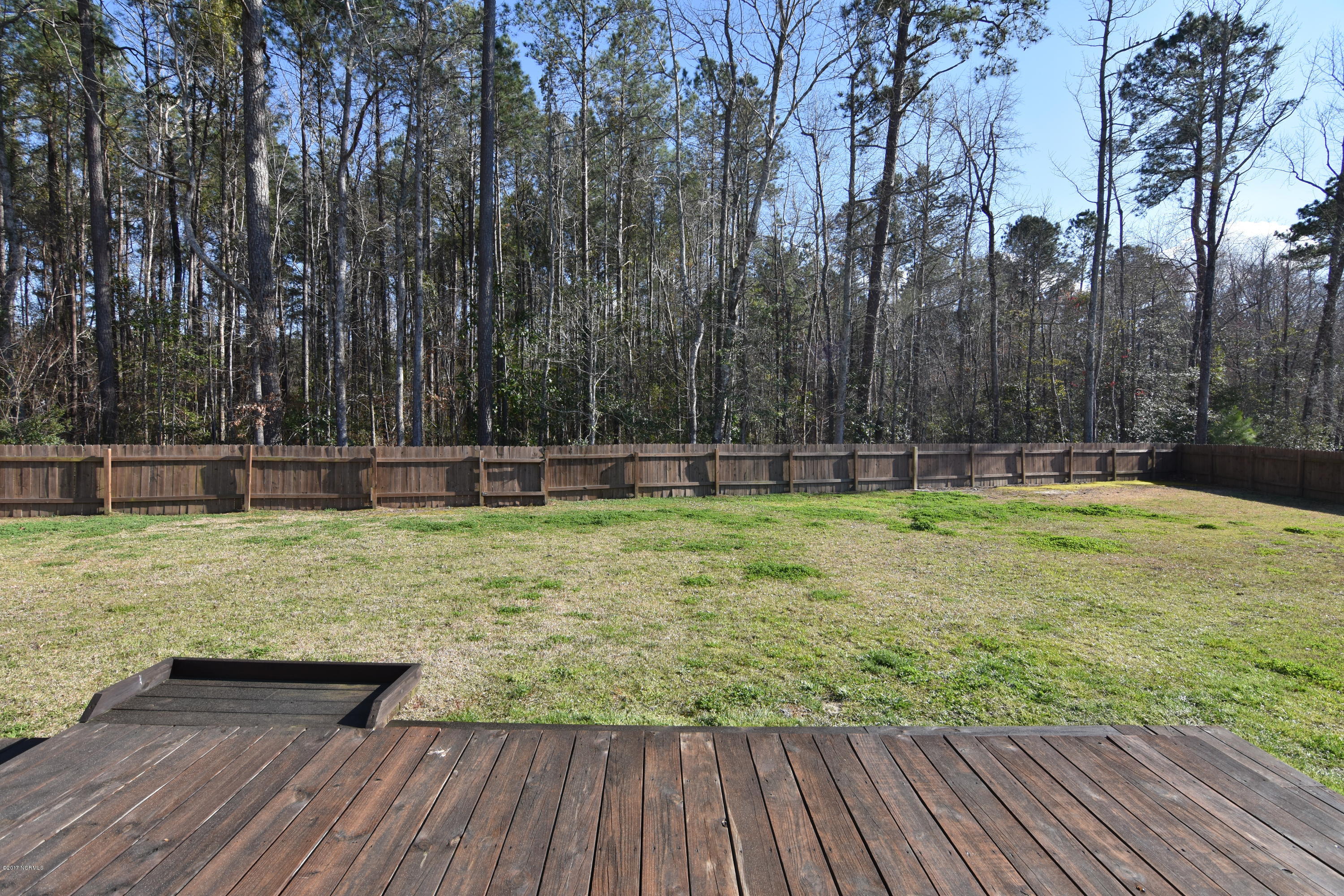 109 Coree Way New Bern, NC 28562 - Photo 23 of 27 Backyard