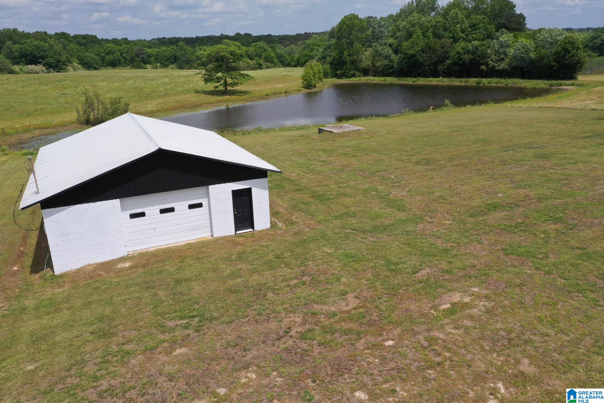 245 Schoolhouse Road Baileyton, AL 35019 - Photo 3 of 20