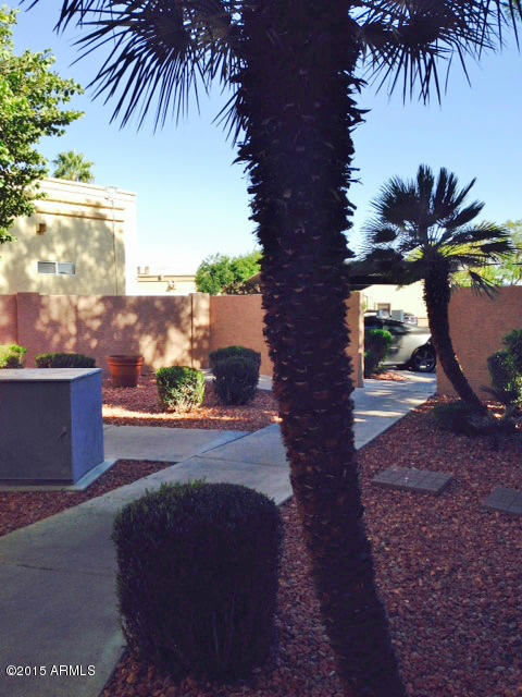 12221 West Bell Road, Unit 163 Surprise, AZ 85378 - Photo 5 of 16 GROUNDS