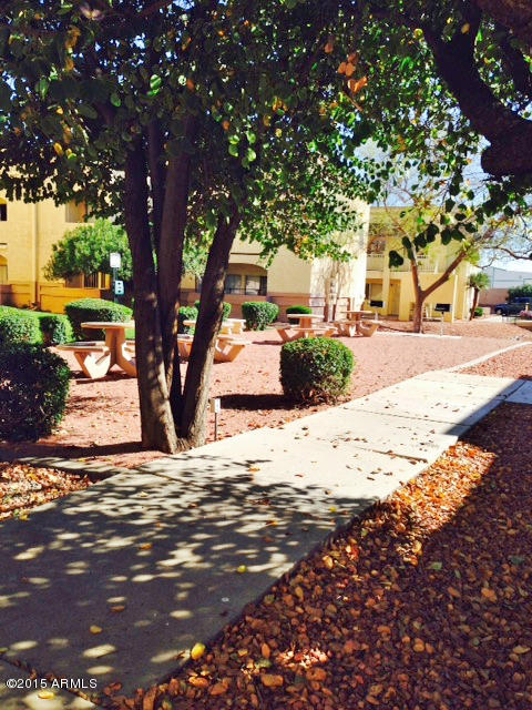 12221 West Bell Road, Unit 163 Surprise, AZ 85378 - Photo 10 of 16 PICNIC AREA (1)