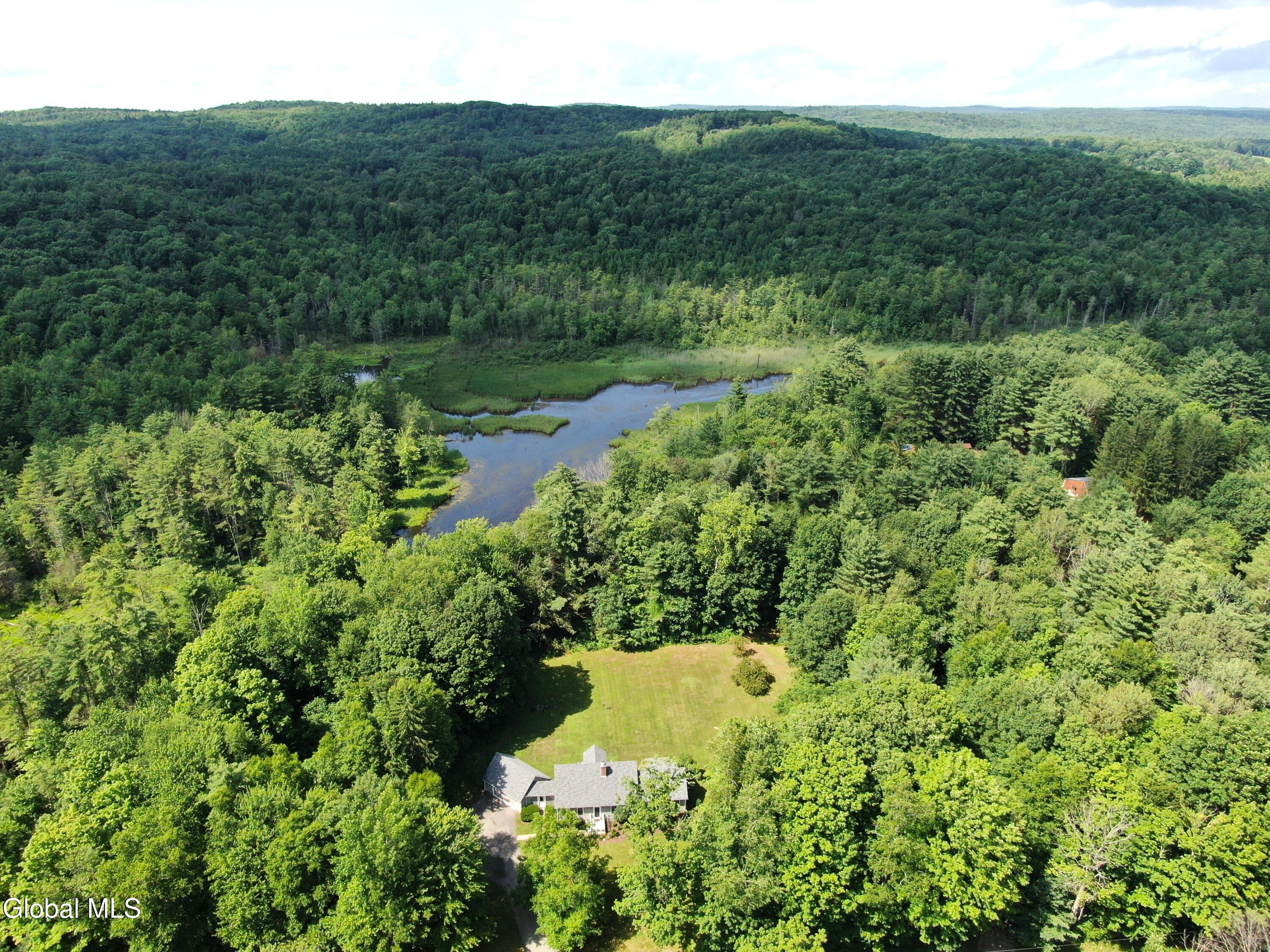 1979 Hermance Road Galway, NY 12074 - Photo 3 of 82 1979 drone g
