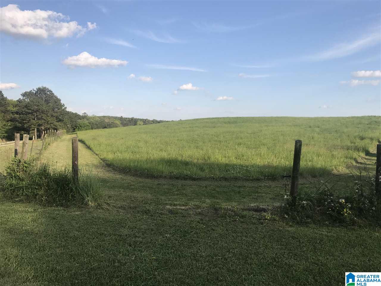 626 Smith Road Oneonta, AL 35121 - Photo 40 of 47