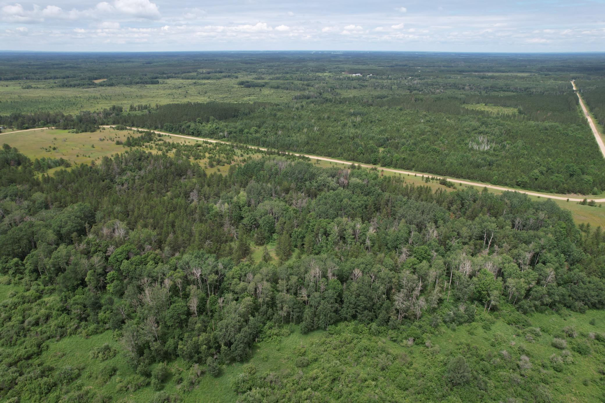 Tbd 350th Street Sebeka, MN 56477 - Photo 6 of 100