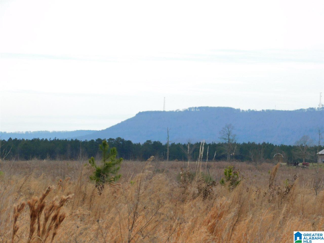 1295 Paul Duncan Road Steele, AL 35987 - Photo 13 of 13