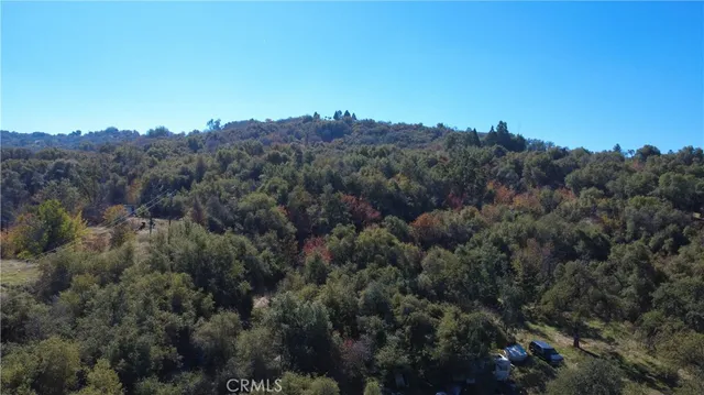 an aerial view of mountain and trees