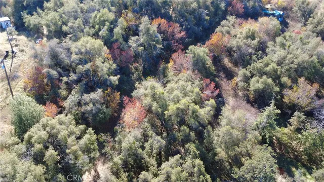 a view of a house in a forest