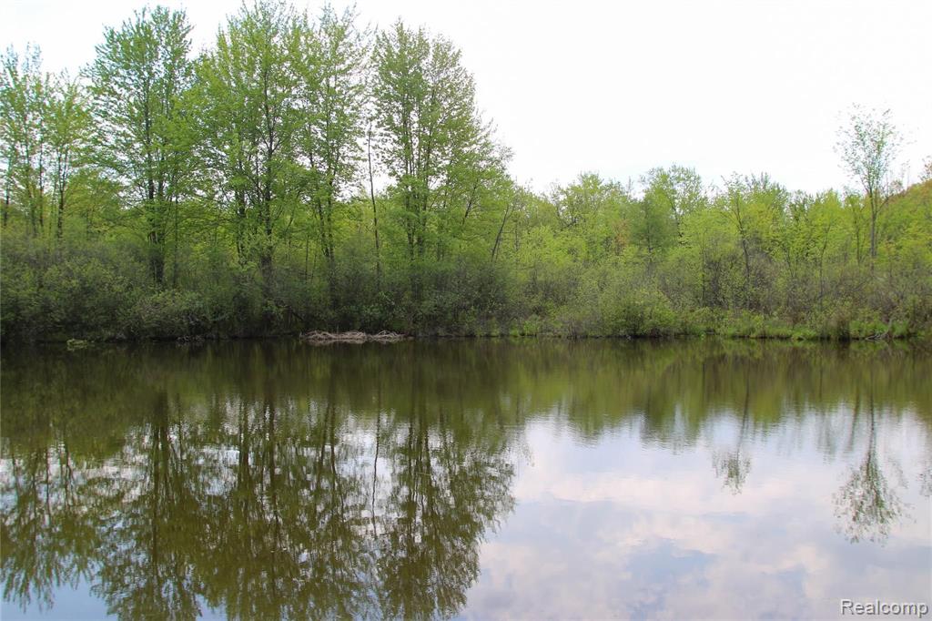 7300 Sheldon Road Whitmore Lake, MI 48189 - Photo 42 of 50