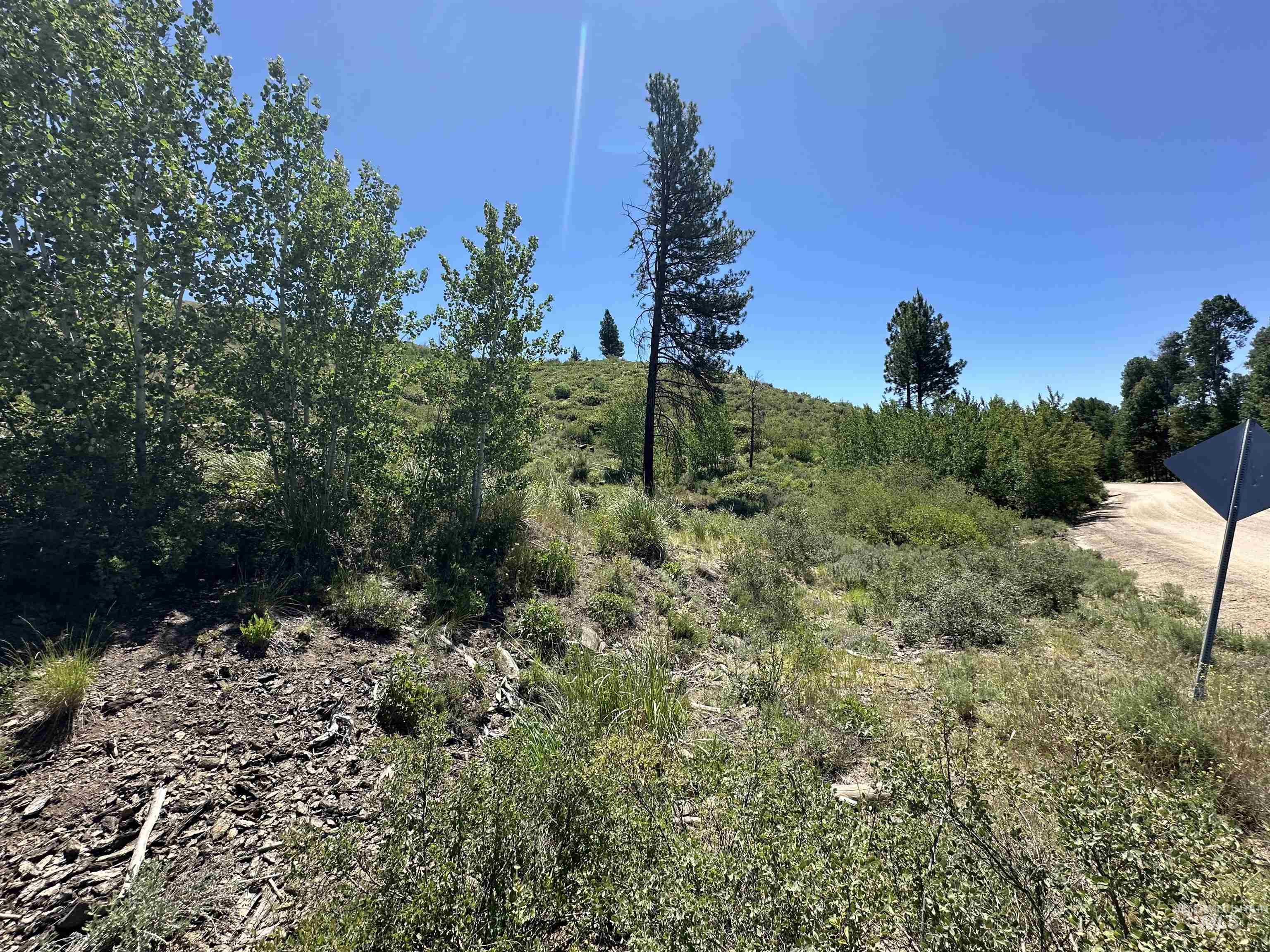 Tbd Lester Creek Road Mountain Home, ID 83647 - Photo 2 of 8