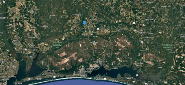 a view of a tree with a yard