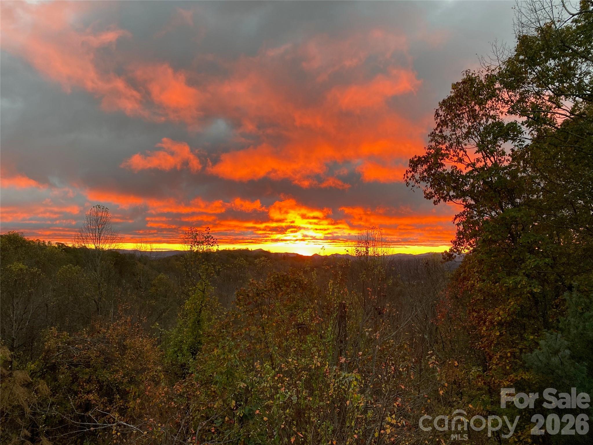 105 Spring Path Hendersonville, NC 28739 - Photo 12 of 41 Gallery Image 12