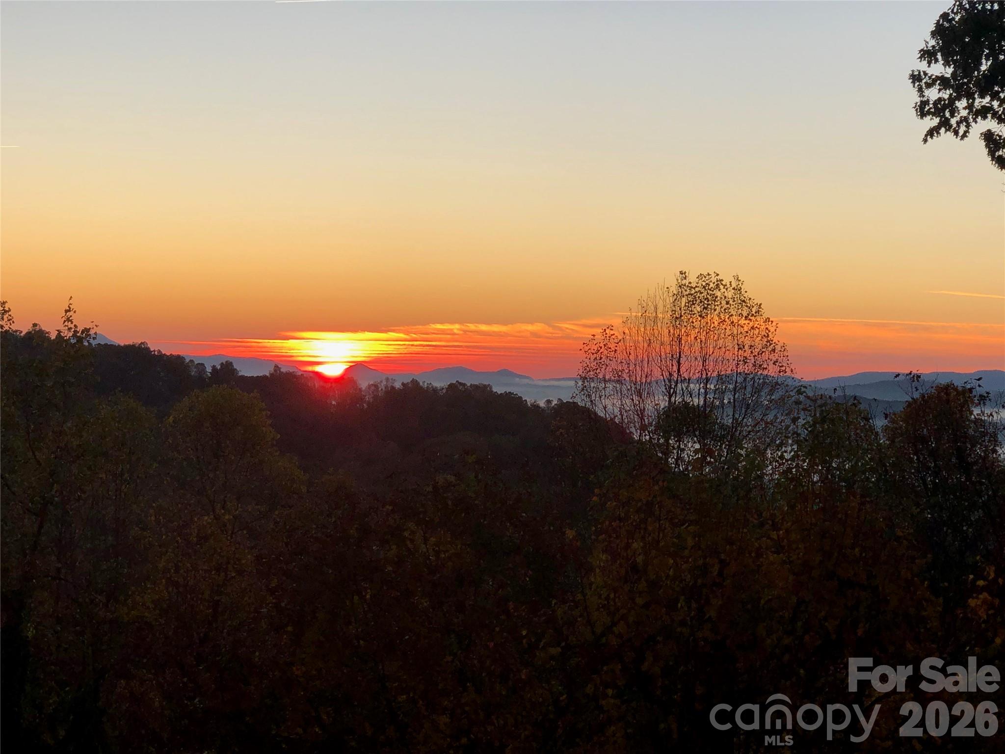 105 Spring Path Hendersonville, NC 28739 - Photo 10 of 41 Gallery Image 10