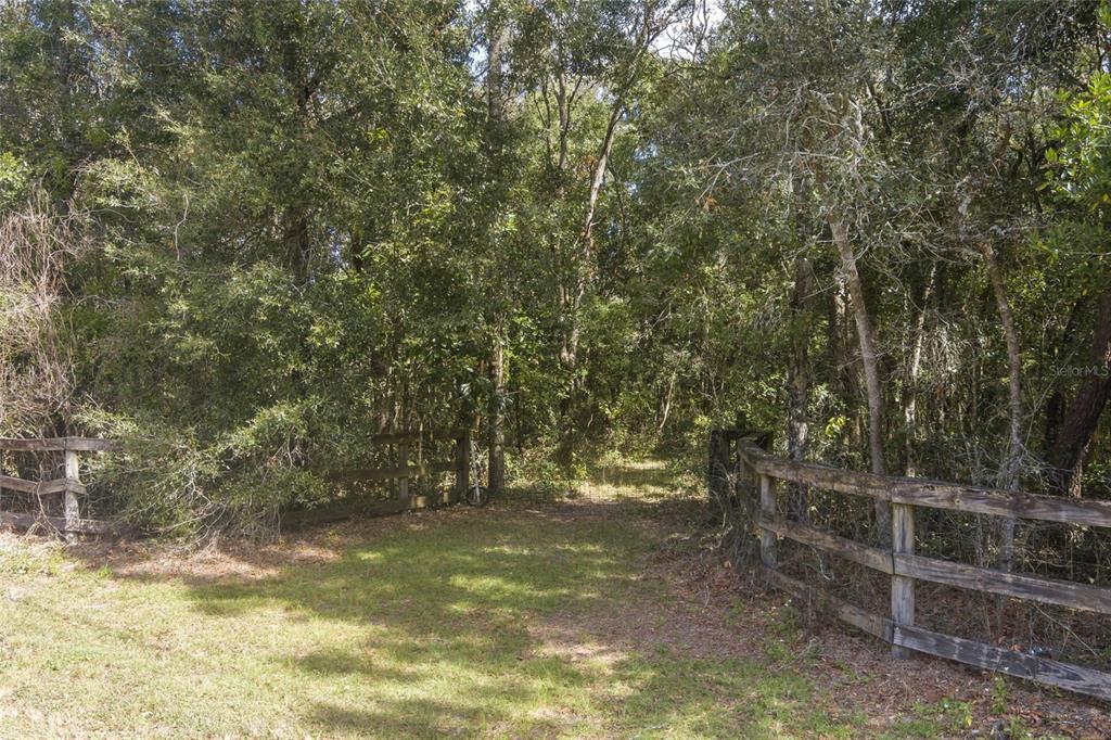 Benes Road Brooksville, FL 34604 - Photo 1 of 1 a view of a yard with trees