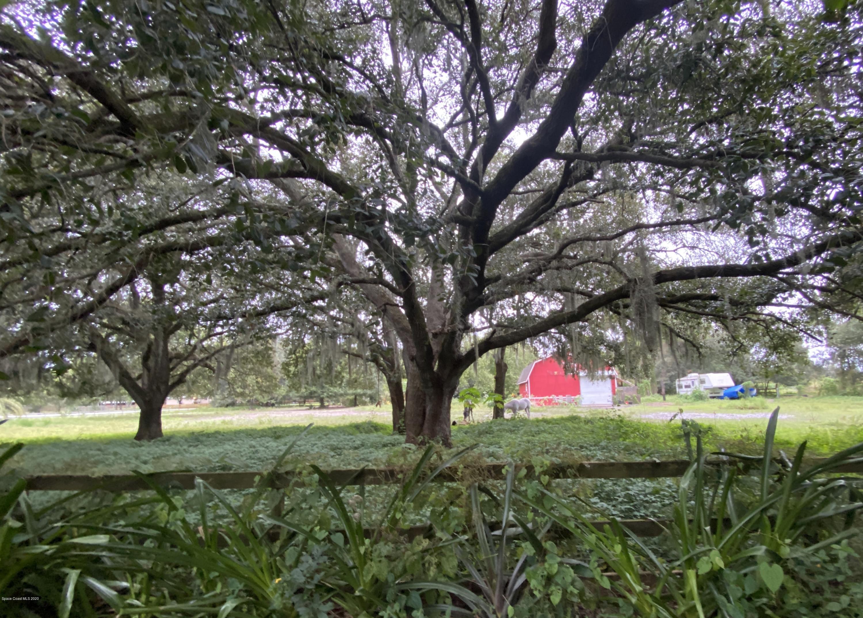 1905 Palomino Road Melbourne, FL 32934 - Photo 1 of 8 IMG_2128