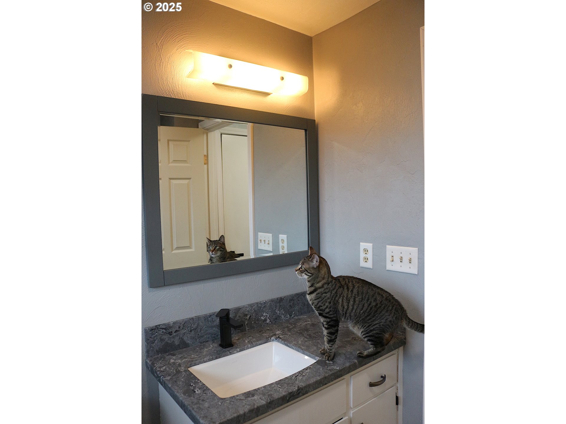 2172 8th Street Springfield, OR 97477 - Photo 27 of 34 a bathroom with a sink and a mirror