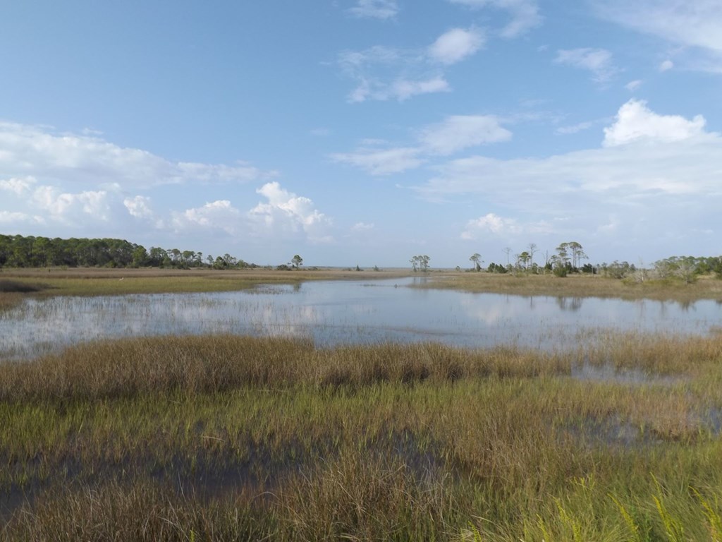 695 Mashes Sands Road, Unit 2C Panacea, FL 32346 - Photo 25 of 25 Gallery Image 25