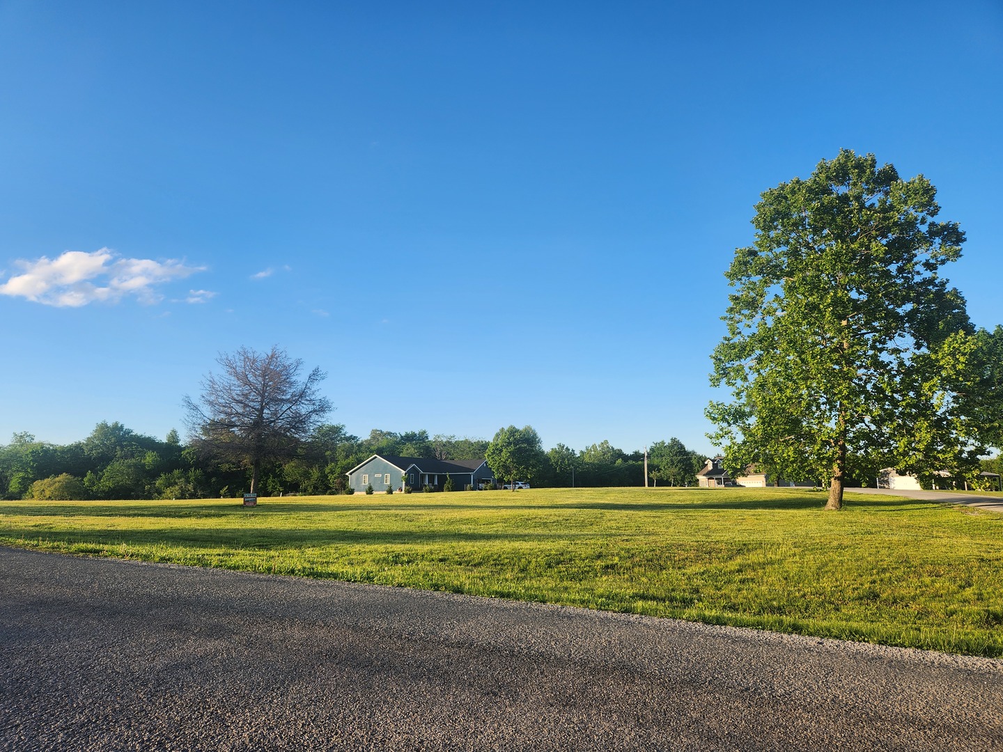 a view of a yard with a house