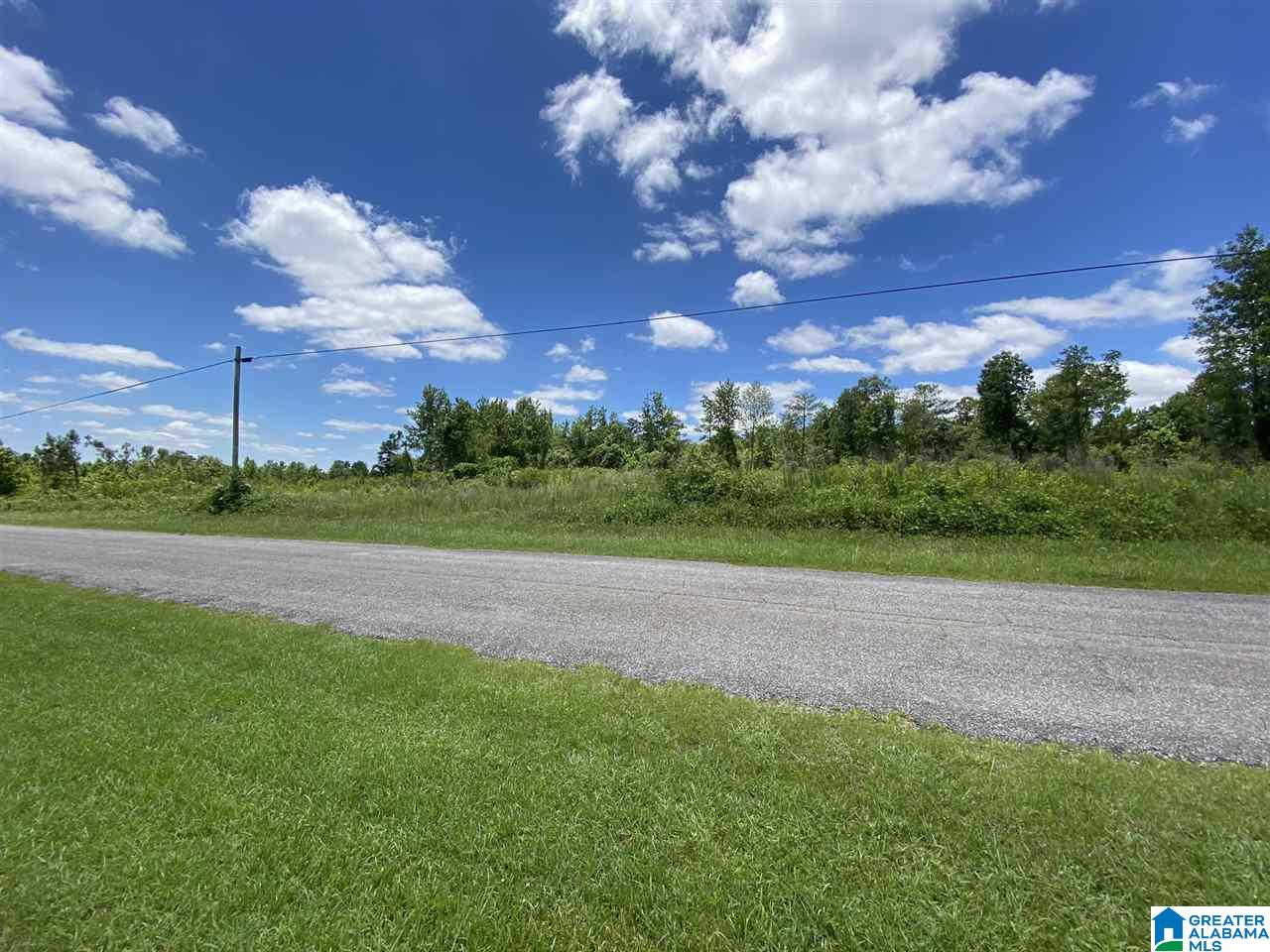 25 County Road, Unit 7 59 Woodland, AL 36280 - Photo 6 of 6