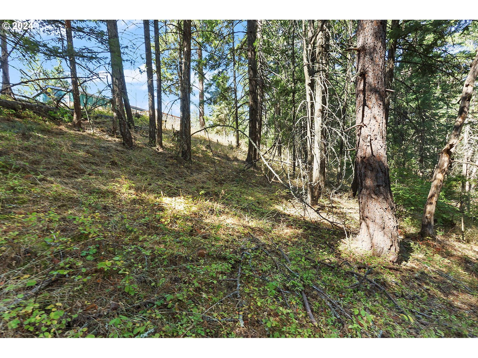 2095 State Road Mosier, OR 97040 - Photo 21 of 41 Gallery Image 21