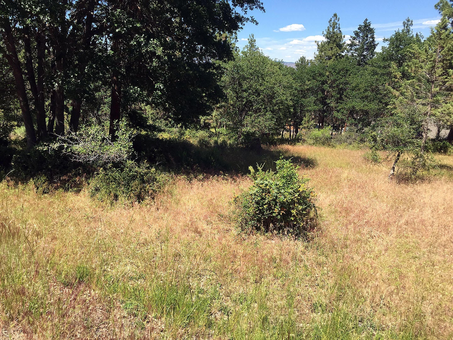 883 Cooper's Hawk Road Klamath Falls, OR 97601 - Photo 7 of 7 Lot 883Coopers-07