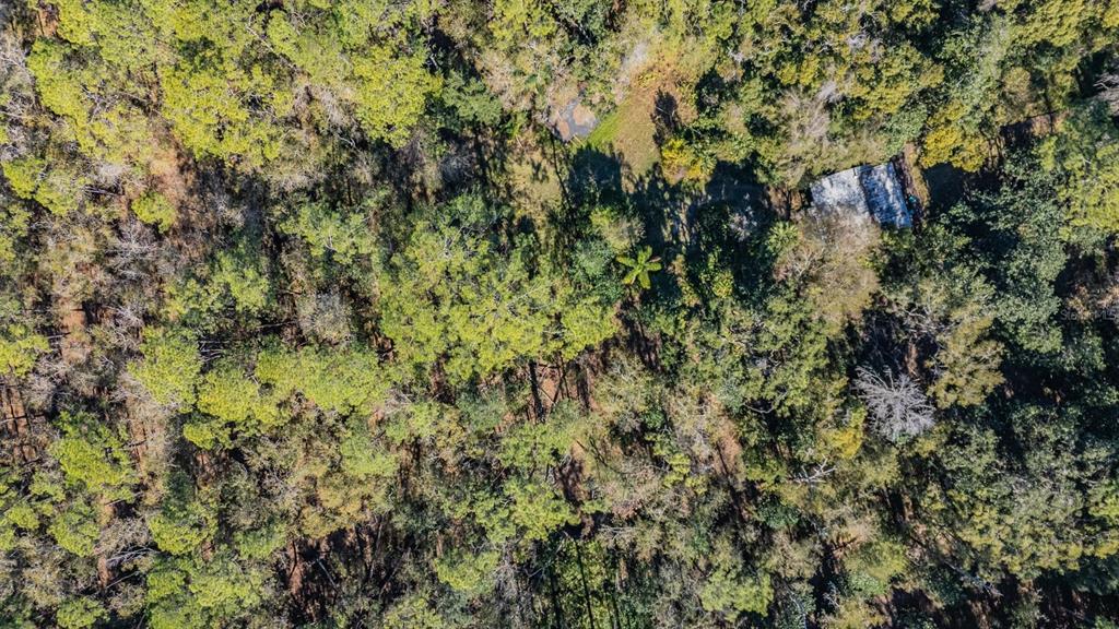 5504 Sun Up Road Land O' Lakes, FL 34638 - Photo 11 of 19 a view of a yard