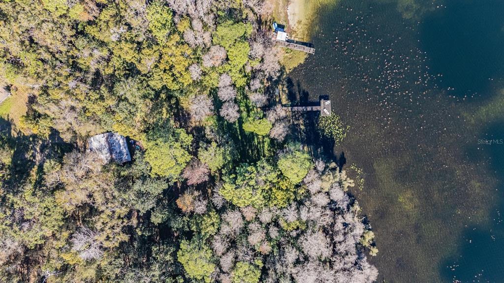 5504 Sun Up Road Land O' Lakes, FL 34638 - Photo 12 of 19 a backyard of a house