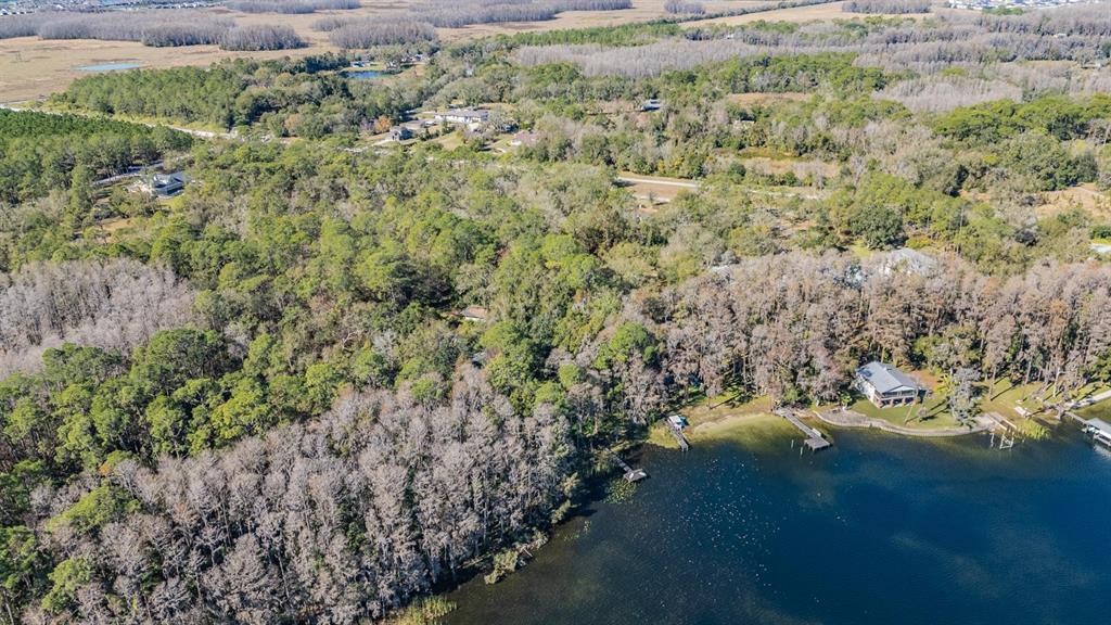 5504 Sun Up Road Land O' Lakes, FL 34638 - Photo 13 of 19 a view of a garden with a lake
