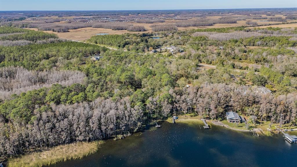 5504 Sun Up Road Land O' Lakes, FL 34638 - Photo 14 of 19 a view of a city with lots of trees