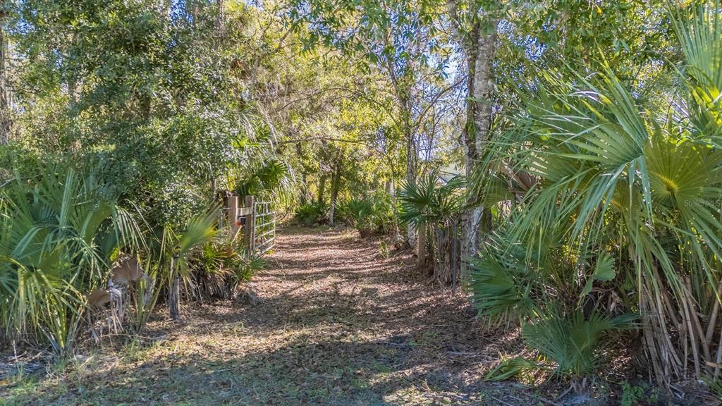 5504 Sun Up Road Land O' Lakes, FL 34638 - Photo 17 of 19 a pathway of a yard
