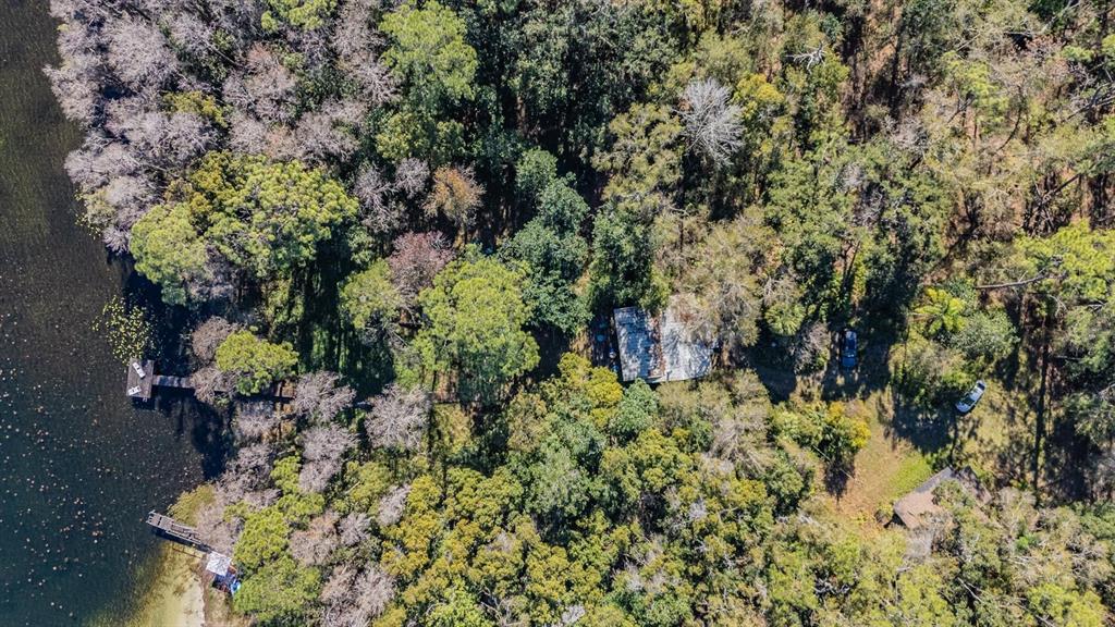 5504 Sun Up Road Land O' Lakes, FL 34638 - Photo 6 of 19 a plant view