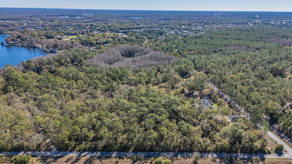5504 Sun Up Road Land O' Lakes, FL 34638 - Photo 7 of 19 a view of a city with lush green forest