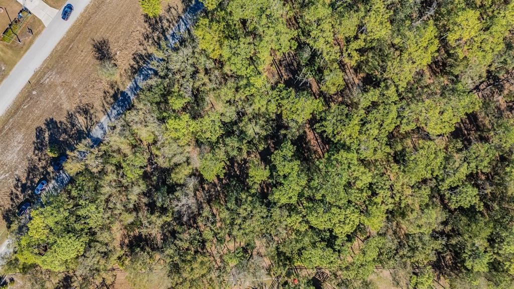 5504 Sun Up Road Land O' Lakes, FL 34638 - Photo 9 of 19