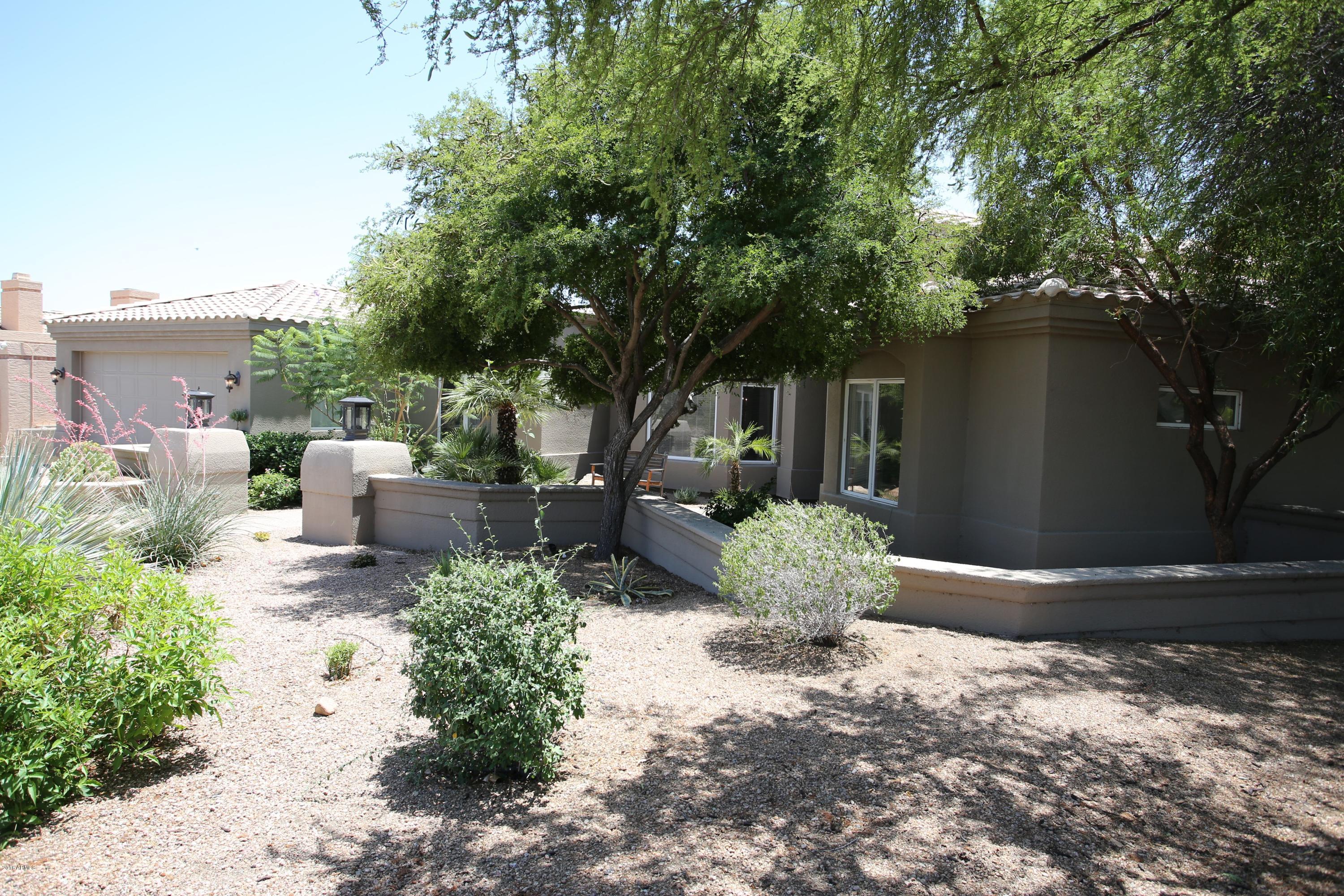 2301 East Mountain View Road Phoenix, AZ 85028 - Photo 27 of 58 Front yard looking towards house