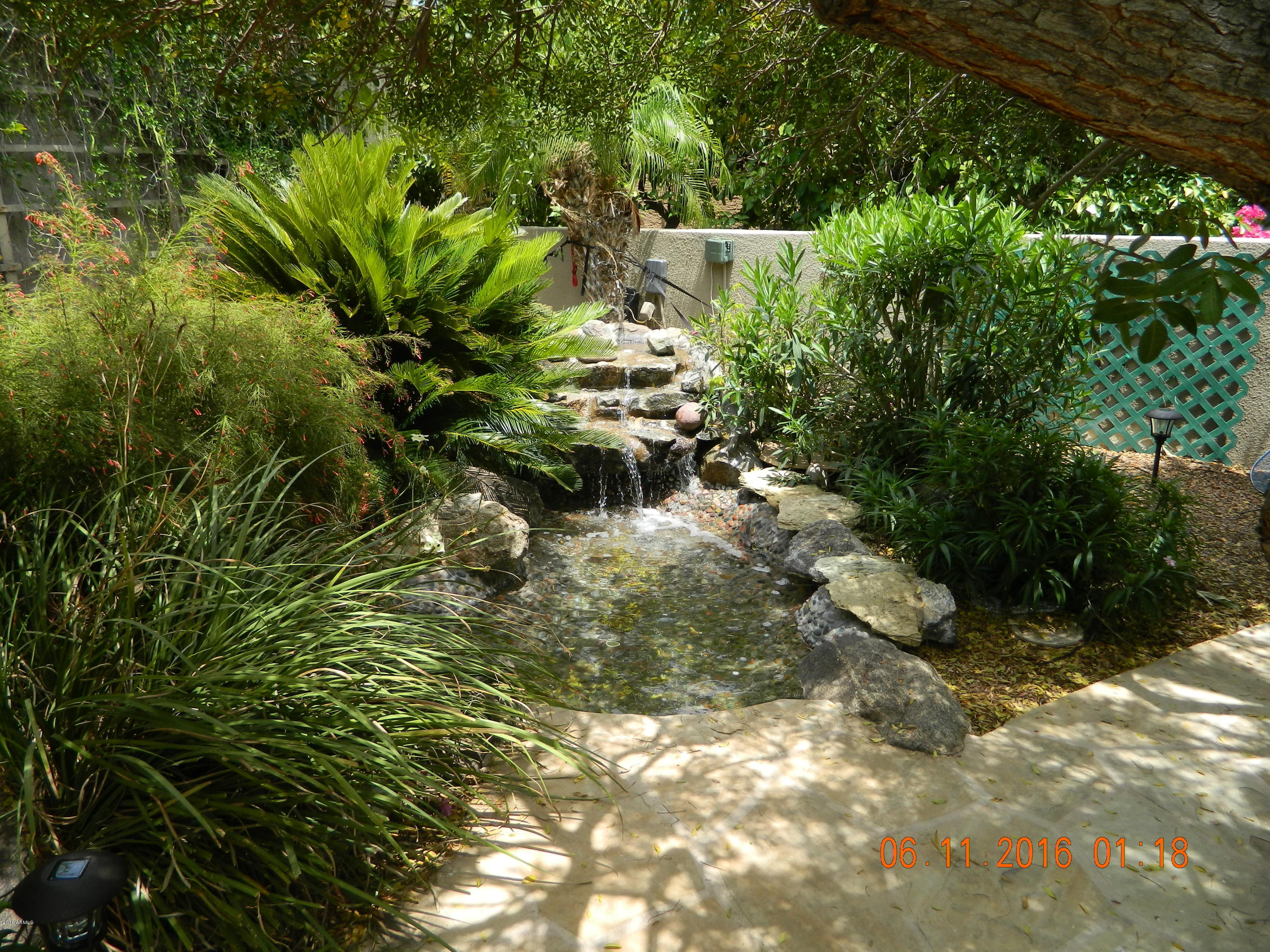 2301 East Mountain View Road Phoenix, AZ 85028 - Photo 31 of 58 Custom Backyard Waterfall
